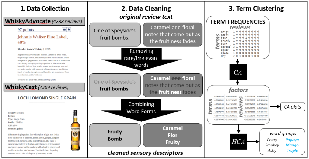 A diagram outlining the 3 main steps in an automated lexicon generation workflow for whiskey. Step 1 is data collection, showing 2 example whiskey reviews. Step 2 is data cleaning, showing the process of removing nondescriptive words from the reviews. Step 3 is clustering the resulting flavor descriptors into broad flavor groups